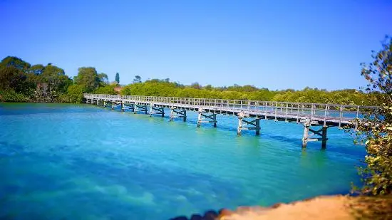 Gardens and landscape around Brunswick Heads, Northern Rivers NSW