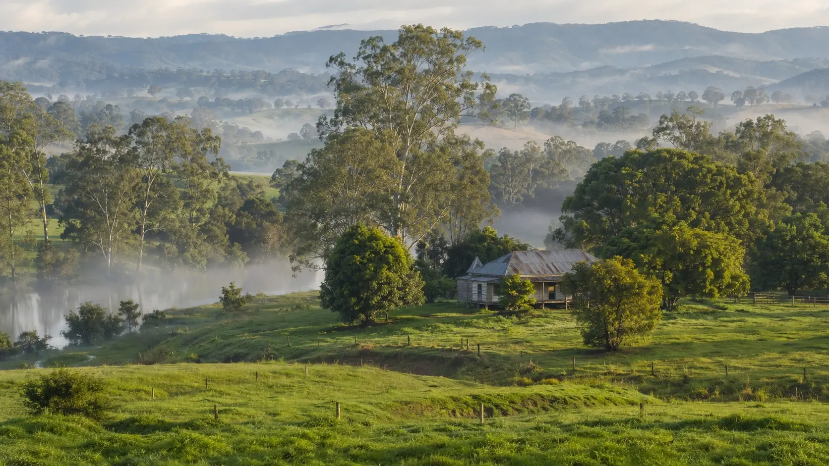 Gardens and landscape around Lismore, Northern Rivers NSW