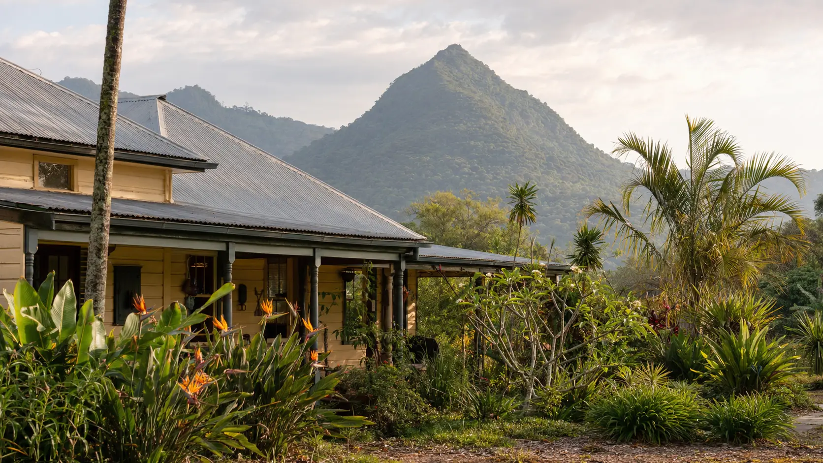 Gardens and landscape around Mullumbimby, Northern Rivers NSW